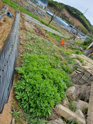 권오정님의 자유주제 · 자유게시판 작성글 사진