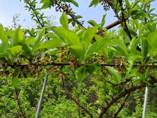 시연아빠님의 자유주제 · 사진전 작성글 사진