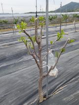 팜모닝 자유주제·자유게시판 게시글 이미지