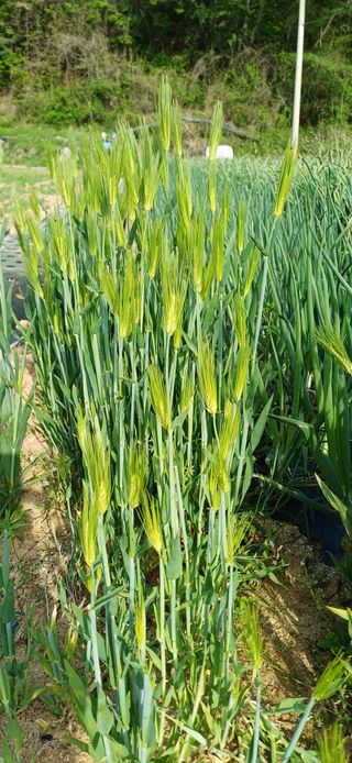 이강재님의 자유주제 · 자유게시판 작성글 사진