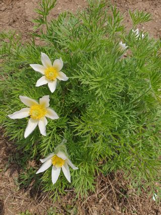 안비님의 자유주제 · 자유게시판 작성글 사진