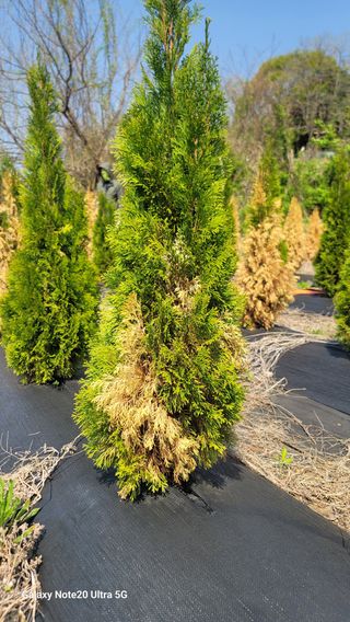 박천석님의 자유주제 · 자유게시판 작성글 사진