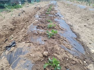 조상희님의 자유주제 · 자유게시판 작성글 사진