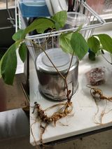 팜모닝 자유주제·자유게시판 게시글 이미지