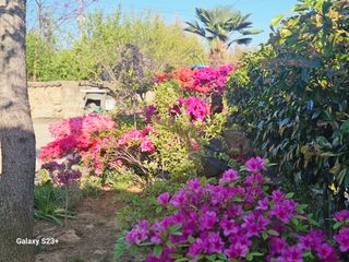 최갑수 님의 자유주제 · 사진전 작성글 사진