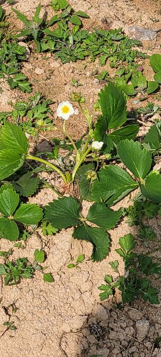 한성님의 자유주제 · 자유게시판 작성글 사진