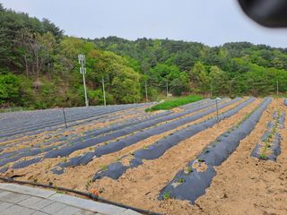 강정희님의 자유주제 · 자유게시판 작성글 사진