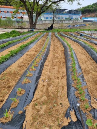 권오정님의 자유주제 · 자유게시판 작성글 사진