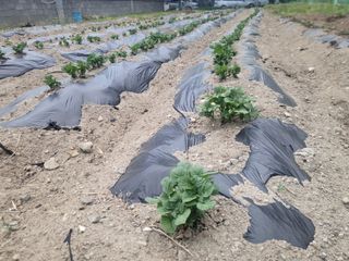 조상희님의 자유주제 · 자유게시판 작성글 사진