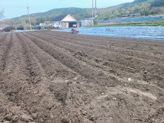 이정민님의 자유주제 · 사진전 작성글 사진