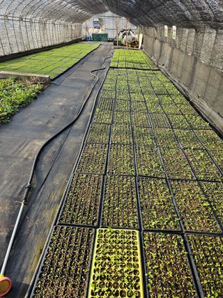 홍천산채농원님의 자유주제 · 자유게시판 작성글 사진