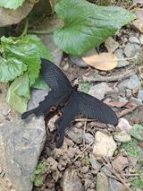 팜모닝 자유주제·자유게시판 게시글 이미지