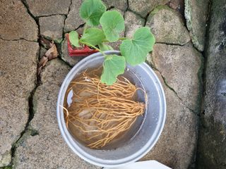 권오정님의 자유주제 · 자유게시판 작성글 사진