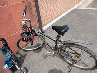 알 수 없음님의 자유주제 · 자유게시판 작성글 사진