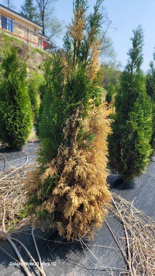 박천석님의 자유주제 · 자유게시판 작성글 사진