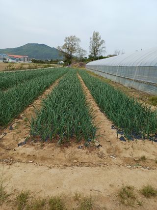 해아래님의 자유주제 · 자유게시판 작성글 사진
