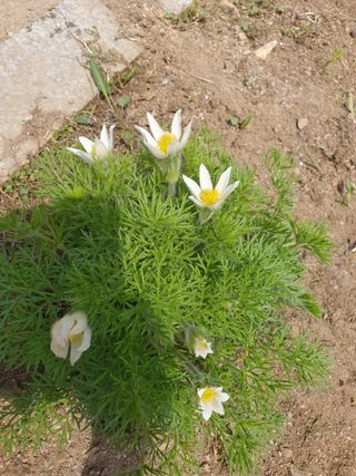 안비님의 자유주제 · 자유게시판 작성글 사진