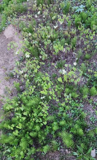 고추건조기부품판매님의 자유주제 · 자유게시판 작성글 사진