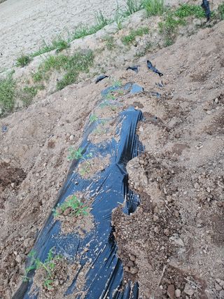 유명숙님의 자유주제 · 자유게시판 작성글 사진