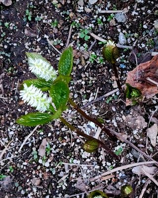 고추건조기부품판매님의 자유주제 · 자유게시판 작성글 사진