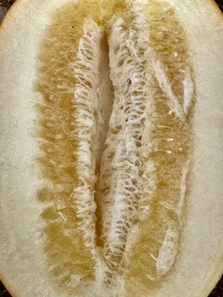 농부손녀님의 작성글 사진