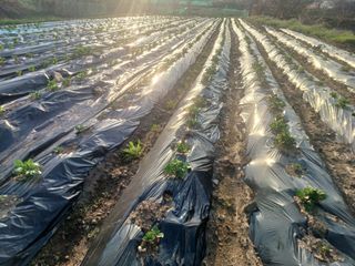이정민님의 자유주제 · 사진전 작성글 사진