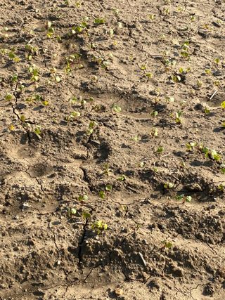 임태묵님의 자유주제 · 자유게시판 작성글 사진