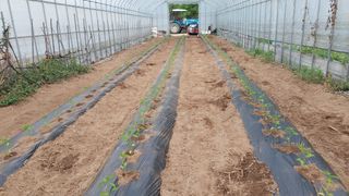 강원도 횡성군님의 자유주제 · 자유게시판 작성글 사진