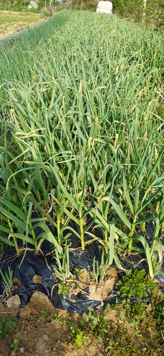 이강재님의 자유주제 · 자유게시판 작성글 사진