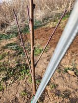 김 농부님의 🌱내 작물 자랑하기!·참여글 작성글 사진