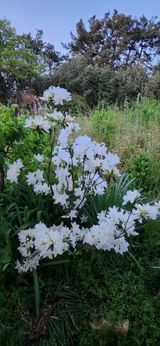 팜모닝 자유주제·자유게시판 게시글 이미지