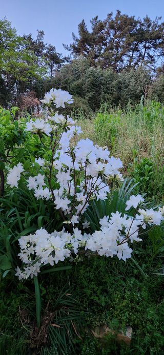 품질좋은농산물생산님의 자유주제 · 자유게시판 작성글 사진