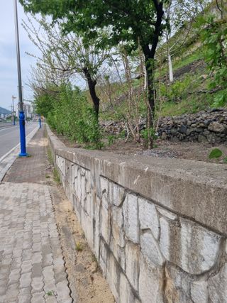 김용대님의 자유주제 · 자유게시판 작성글 사진