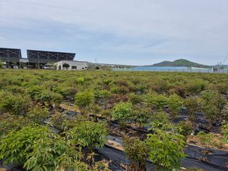 약초다지님의 자유주제 · 자유게시판 작성글 사진