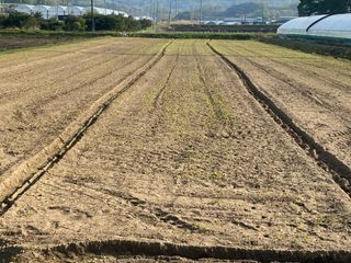 임태묵님의 자유주제 · 자유게시판 작성글 사진