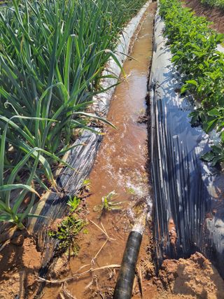 정택님의 자유주제 · 자유게시판 작성글 사진