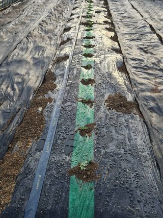 백호순(후추)님의 자유주제 · 자유게시판 작성글 사진