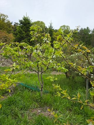 이원복님의 자유주제 · 사진전 작성글 사진