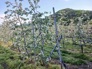 알 수 없음님의 자유주제 · 자유게시판 작성글 사진