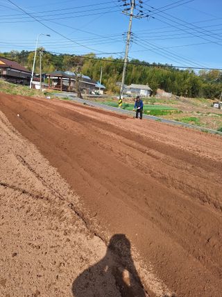 길가다우연히님의 자유주제 · 자유게시판 작성글 사진