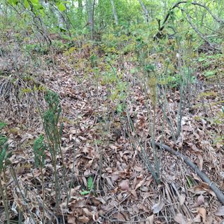 오영도님의 자유주제 · 자유게시판 작성글 사진