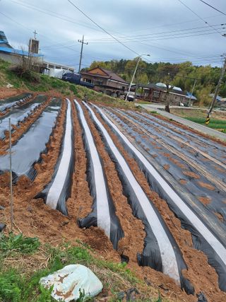 길가다우연히님의 자유주제 · 자유게시판 작성글 사진