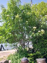 팜모닝 자유주제·자유게시판 게시글 이미지