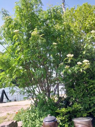 고두윤님의 자유주제 · 자유게시판 작성글 사진