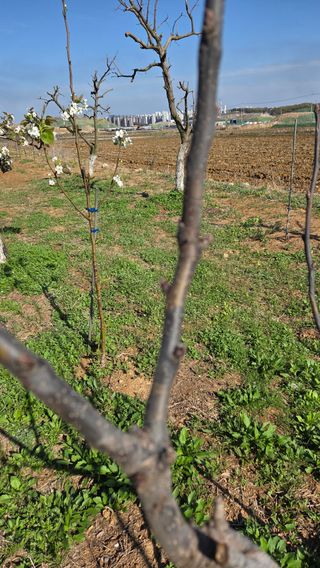 이종선님의 자유주제 · 자유게시판 작성글 사진