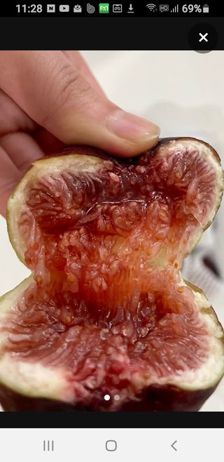 오아성님의 자유주제 · 자유게시판 작성글 사진