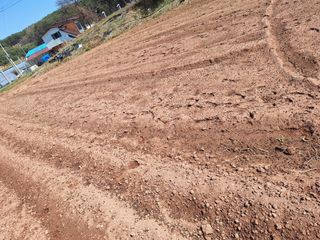 길가다우연히님의 자유주제 · 자유게시판 작성글 사진