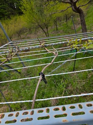 이원복님의 자유주제 · 사진전 작성글 사진