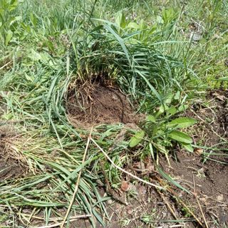 박철용 님의 자유주제 · 자유게시판 작성글 사진