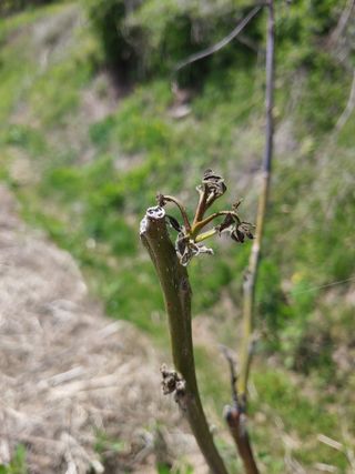 김광섭님의 자유주제 · 자유게시판 작성글 사진